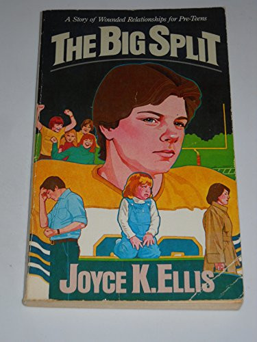 Cover of The big split