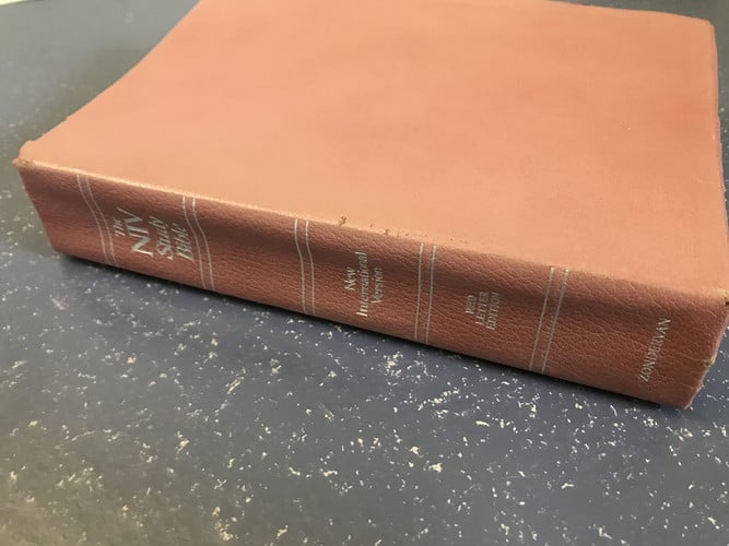 Niv Study Bible/Red Letter Edition