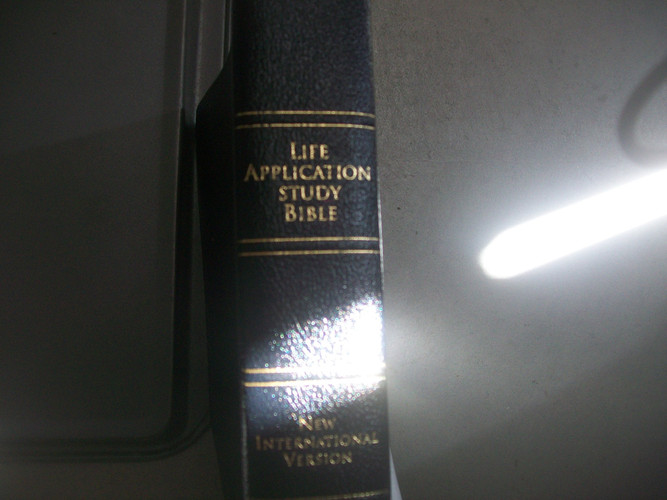NIV Life Application Study Bible