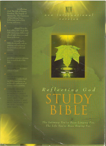 Reflecting God Study Bible