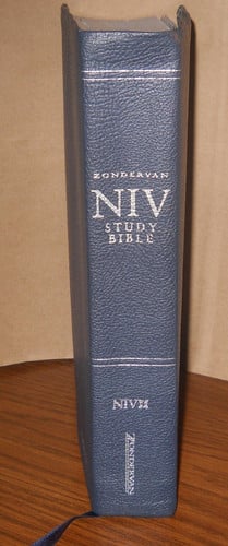 NIV Study Bible