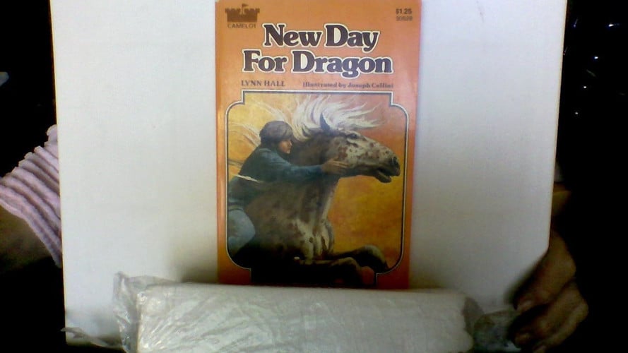 Cover of New Day for Dragon