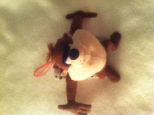 Cover of Taz