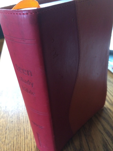 Teen Study Bible New International Version Red/Orange Italian Duo-Tone