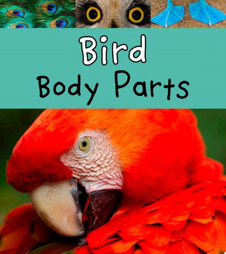 Cover of Bird Body Parts