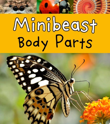 Cover of Minibeast Body Parts