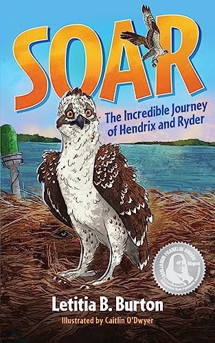 Cover of Soar