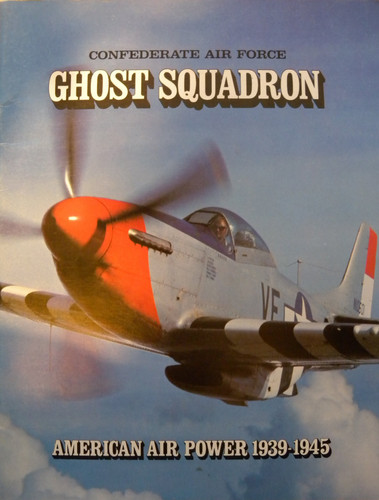 Cover of The ghost squadron