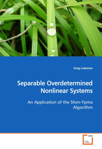 Separable Overdetermined Nonlinear Systems: An Application of the Shen-Ypma Algorithm