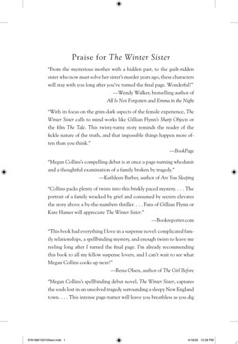 The Winter Sister A Novel