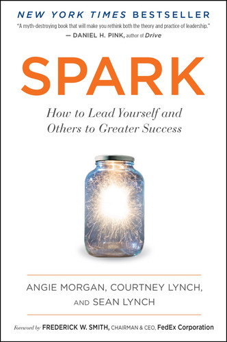 Spark How to Lead Yourself and Others to Greater Success
