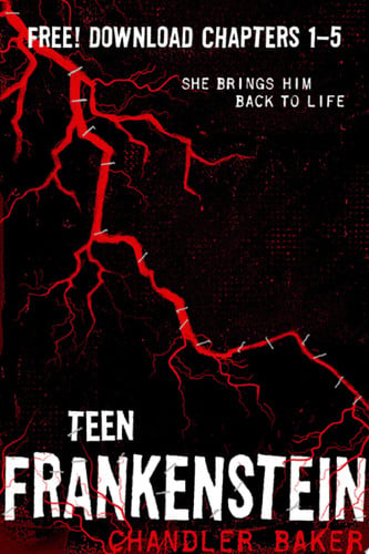 Cover of High School Horror