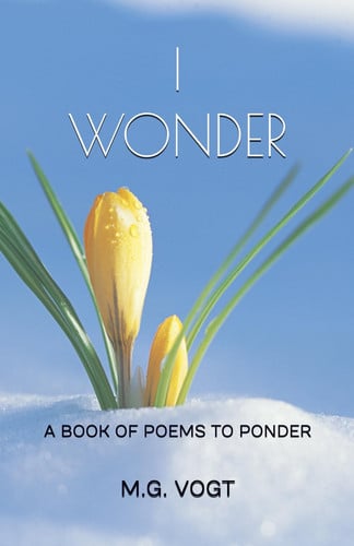 Cover of I Wonder