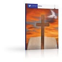 Cover of The Captivity (Lifepac Bible Grade 10)