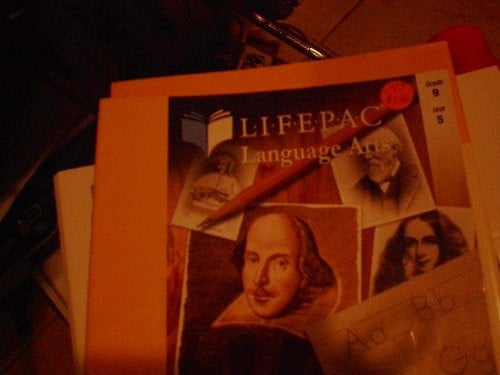 Cover of Language in Literature (Lifepac Language Arts Grade 9)