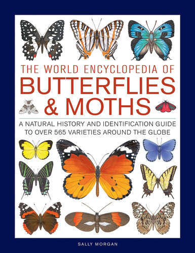 The World Encyclopedia of Butterflies & Moths A Natural History And Identification Guide To Over 565 Varieties Around The Globe