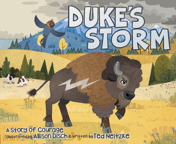 Cover of Duke's Storm