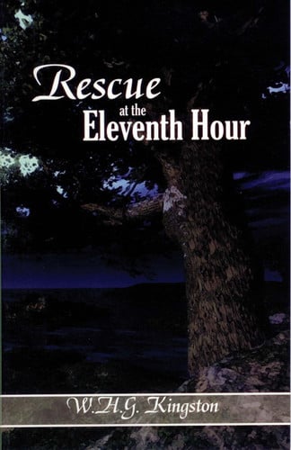Cover of Rescue at the Eleventh Hour