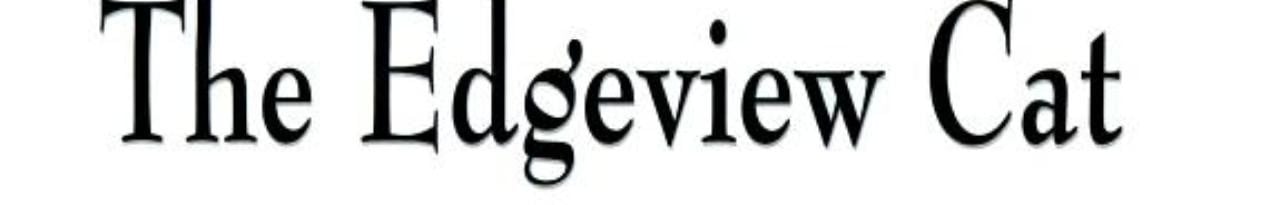 Cover of The edgeview cat (Spotlight books)