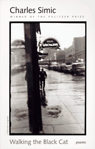 Walking the black cat : poems