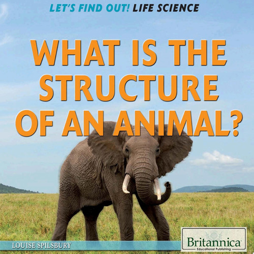 Cover of What Is the Structure of an Animal?