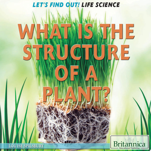Cover of What Is the Structure of a Plant?