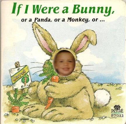 Cover of If I Were a Bunny...
