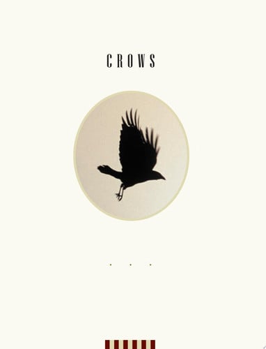 Crows Encounters with the Wise Guys of the Avian World