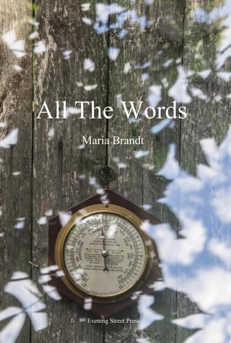 All the Words - Maria Brandt
