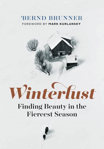 Winterlust Finding Beauty in the Fiercest Season