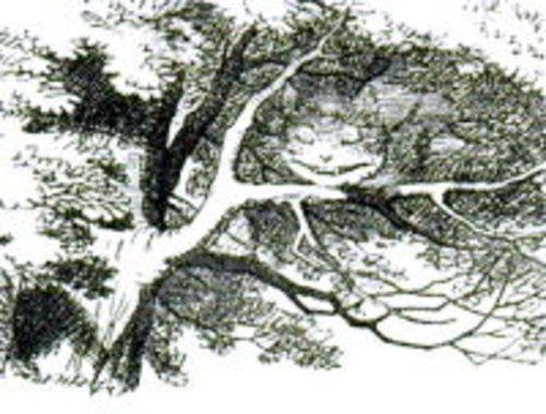Alice's Adventures In Wonderland