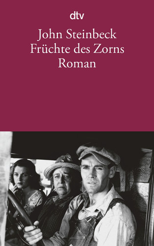 Früchte des Zorns. Roman.