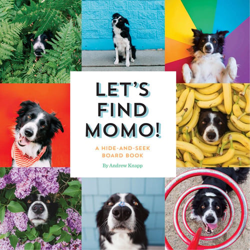 Let's Find Momo!