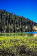 A View of Todd Lake Oregon USA Journal 150 Page Lined Notebook/Diary