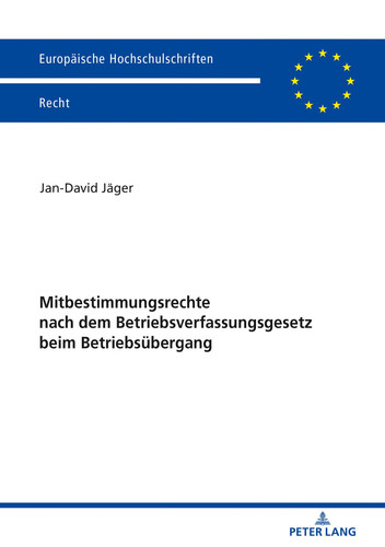 Mitbestimmungsrechte nach dem Betriebsverfassungsgesetz beim Betriebsübergang eine Einordnung von § 613a BGB in das System der Betriebsverfassung