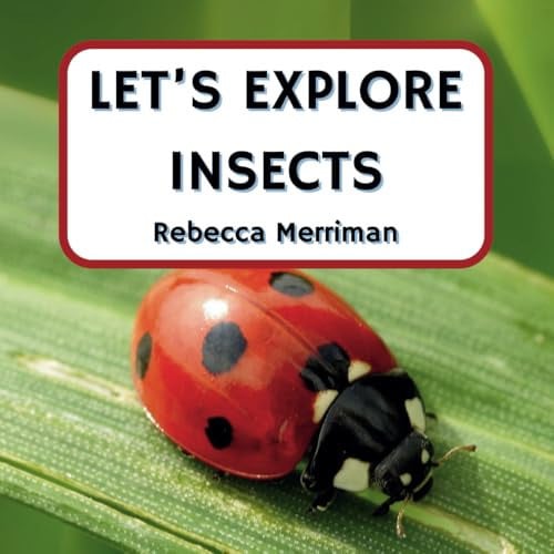 Cover of Let's Explore Insects