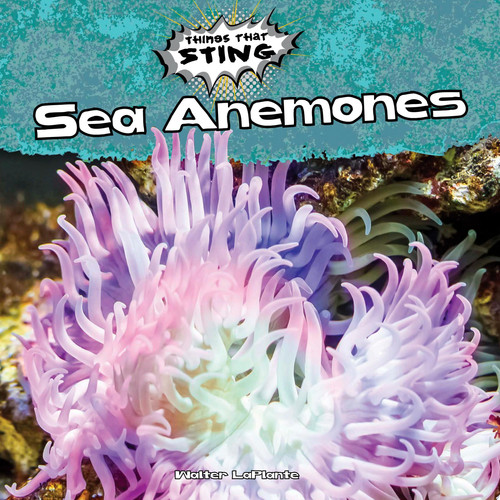 Cover of Sea Anemones