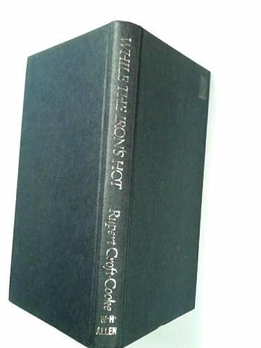 Cover of While the iron's hot