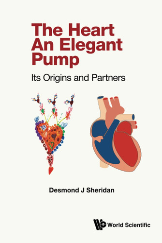 The Heart an Elegant Pump Its Origins and Partners