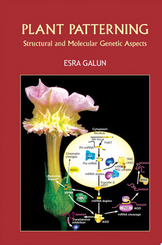 Plant Patterning Structural and Molecular Genetic Aspects