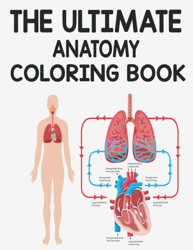 The Ultimate Anatomy coloring book .: The Ultimate Anatomy Study Guide .