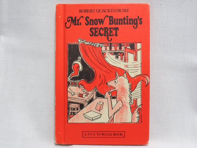 Cover of Mr. Snow Bunting's secret