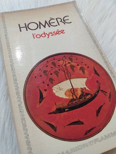 L'ODYSSEE (French Edition)