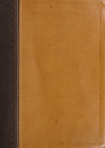 HCSB Study Bible, Brown/Tan Duotone Simulated Leather