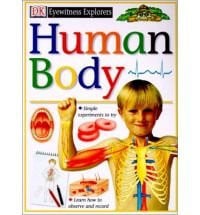 Cover of Human Body (Dk Eyewitness Explorers)
