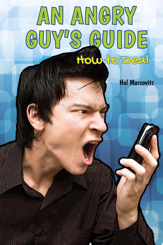 Cover of Angry Guy's Guide