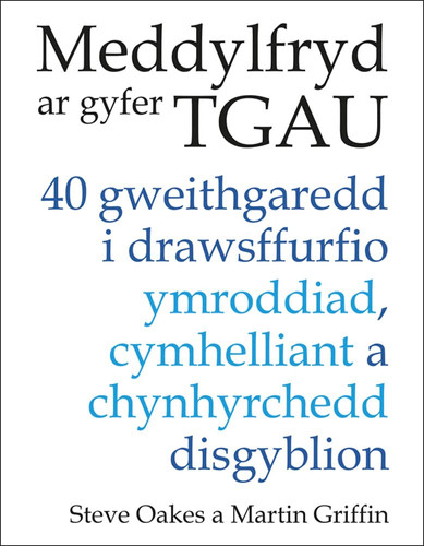 Meddylfryd Ar Gyfer TGAU 40 Gweithgaredd I Drawsffurfio Ymroddiad, Cymhelliant a Chynhyrchedd Disgyblion