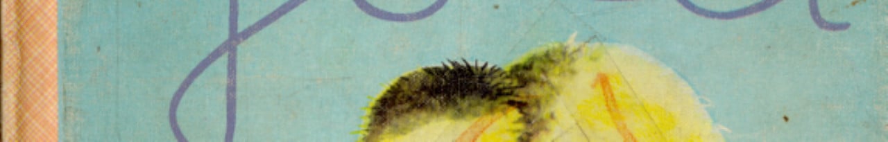 Cover of Jolli