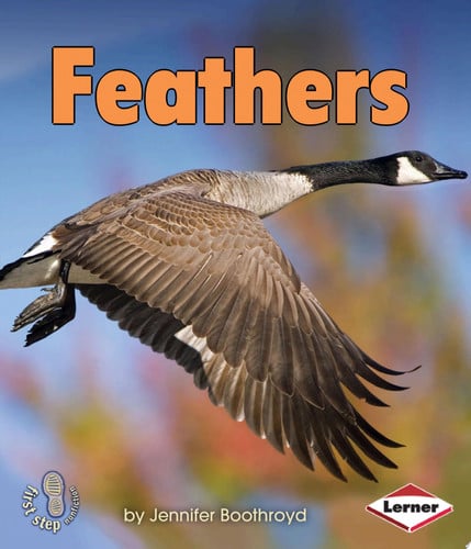 Cover of Feathers