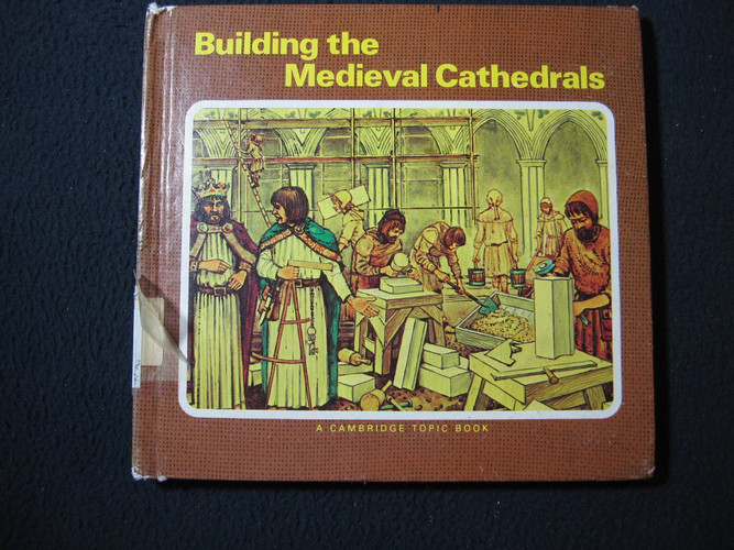 Cover of Building the medieval cathedrals